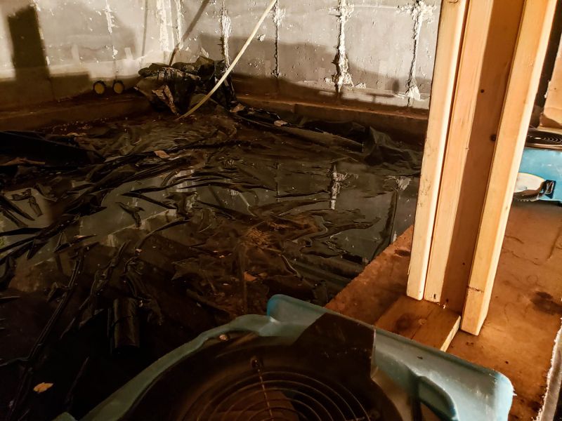 Basement Water Cleanup in Scottsdale, AZ