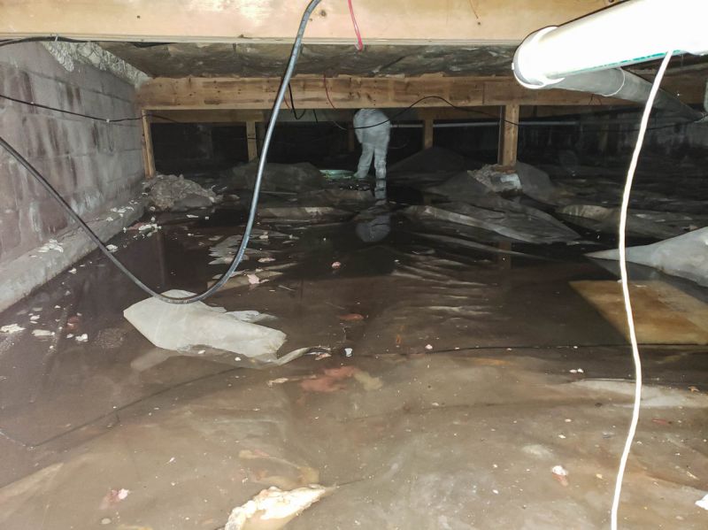 Water Extraction Service in Scottsdale, AZ